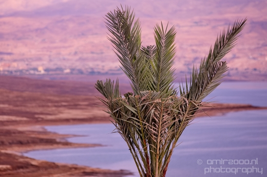 Landscape_Nature_Dead_Sea_Israel_Desert_Photography_133_Canon_EOS_5D_Mark_IV.JPG