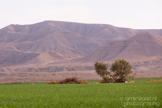 Landscape_Nature_Dead_Sea_Israel_Desert_Photography_138_Canon_EOS_5D_Mark_IV.JPG