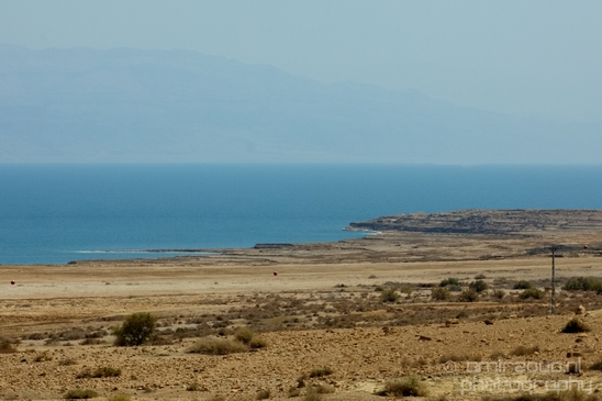Landscape_Nature_Dead_Sea_Israel_Desert_Photography_142_Canon_EOS_5D_Mark_IV.JPG