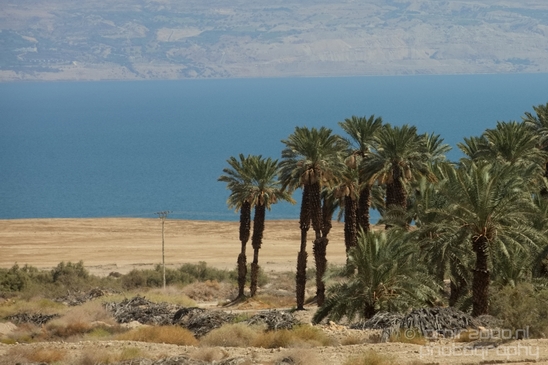 Landscape_Nature_Dead_Sea_Israel_Desert_Photography_144_Canon_EOS_5D_Mark_IV.JPG