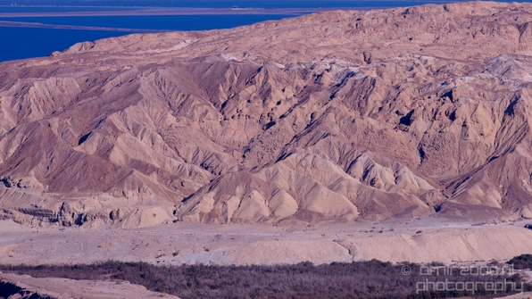Landscape_Nature_Dead_Sea_Israel_Desert_Photography_156_Canon_EOS_5D_Mark_IV.JPG