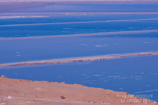 Landscape_Nature_Dead_Sea_Israel_Desert_Photography_157_Canon_EOS_5D_Mark_IV.JPG