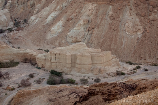 Landscape_Nature_Dead_Sea_Israel_Desert_Photography_163_Canon_EOS_5D_Mark_IV.JPG