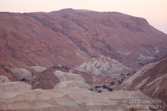 Landscape_Nature_Dead_Sea_Israel_Desert_Photography_165_Canon_EOS_5D_Mark_IV.JPG
