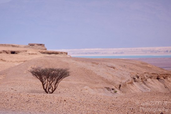 Landscape_Nature_Dead_Sea_Israel_Desert_Photography_175_Canon_EOS_5D_Mark_IV.JPG