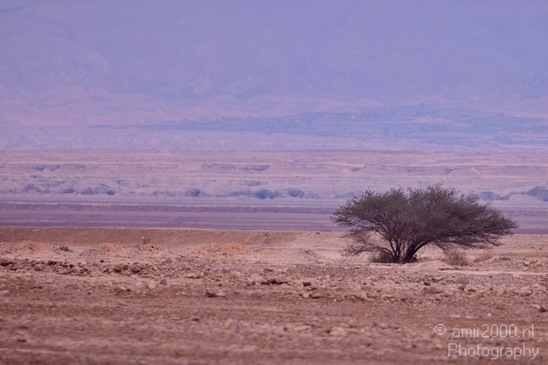 Landscape_Nature_Dead_Sea_Israel_Desert_Photography_196_Canon_EOS_5D_Mark_IV.JPG