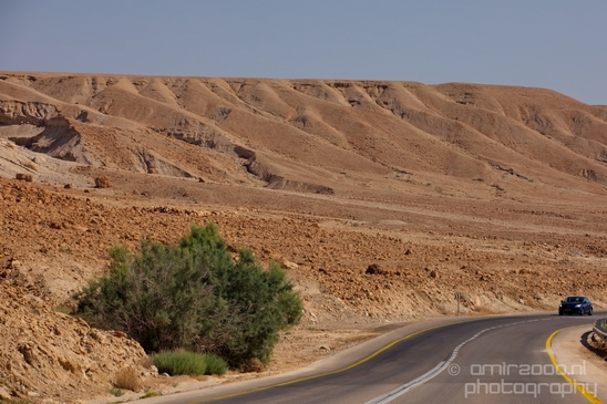 Landscape_Nature_Dead_Sea_Israel_Desert_Photography_198_Canon_EOS_5D_Mark_IV.JPG
