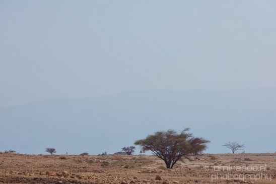Landscape_Nature_Dead_Sea_Israel_Desert_Photography_200_Canon_EOS_5D_Mark_IV.JPG