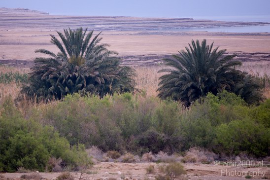 Landscape_Nature_Dead_Sea_Israel_Desert_Photography_226_Canon_EOS_5D_Mark_IV.JPG