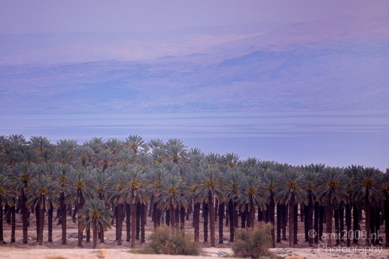 Landscape_Nature_Dead_Sea_Israel_Desert_Photography_227_Canon_EOS_5D_Mark_IV.JPG