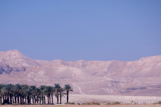 Landscape_Nature_Dead_Sea_Israel_Desert_Photography_242_Canon_EOS_5D_Mark_IV.JPG
