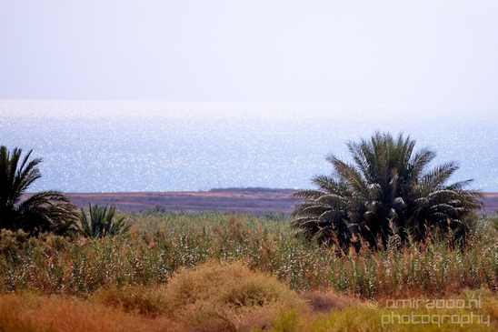 Landscape_Nature_Dead_Sea_Israel_Desert_Photography_254_Canon_EOS_5D_Mark_IV.JPG