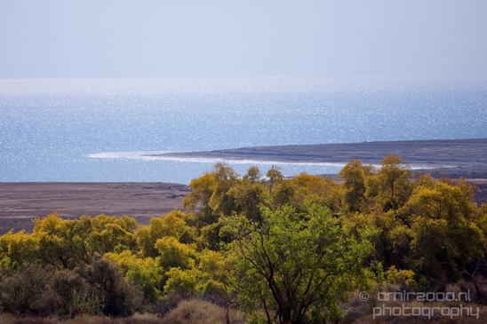 Landscape_Nature_Dead_Sea_Israel_Desert_Photography_255_Canon_EOS_5D_Mark_IV.JPG