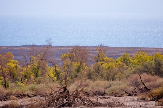 Landscape_Nature_Dead_Sea_Israel_Desert_Photography_256_Canon_EOS_5D_Mark_IV.JPG