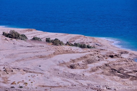 Landscape_Nature_Dead_Sea_Israel_Desert_Photography_266_Canon_EOS_5D_Mark_IV.JPG