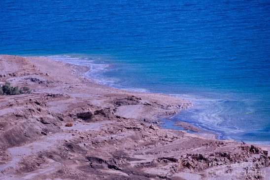 Landscape_Nature_Dead_Sea_Israel_Desert_Photography_268_Canon_EOS_5D_Mark_IV.JPG