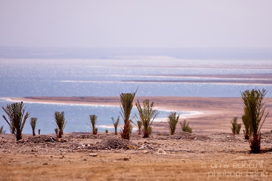 Landscape_Nature_Dead_Sea_Israel_Desert_Photography_273_Canon_EOS_5D_Mark_IV.JPG