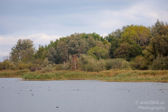Landscape_Nature_North_Holland_Amsterdam_Muiden_Netherlands_Photography_001_Canon_EOS_5D_Mark_IV.JPG