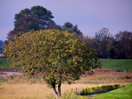 Landscape_Nature_North_Holland_Amsterdam_Muiden_Netherlands_Photography_014_Canon_EOS_5D_Mark_IV.JPG