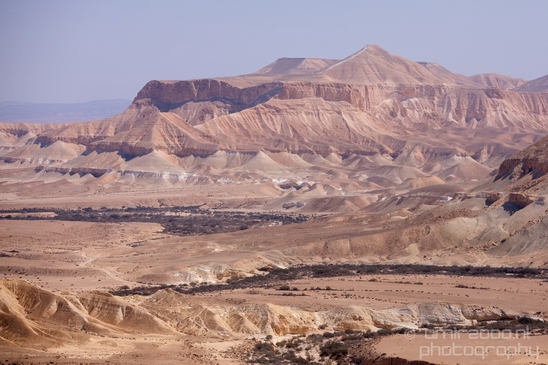 Landscape_Nature_Sde_Boker_desert_scenery_Negev_Israel_Photography_002_Canon_EOS_5D_Mark_IV.JPG