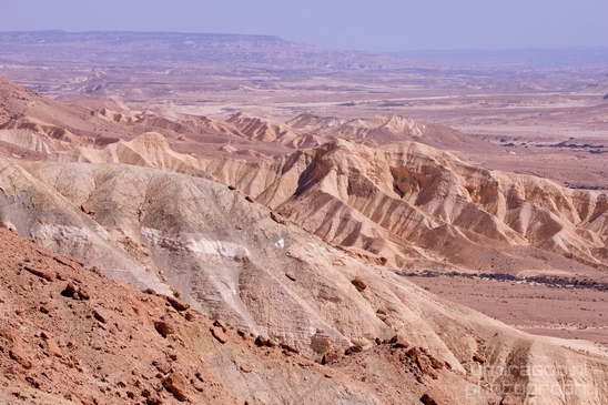 Landscape_Nature_Sde_Boker_desert_scenery_Negev_Israel_Photography_003_Canon_EOS_5D_Mark_IV.JPG