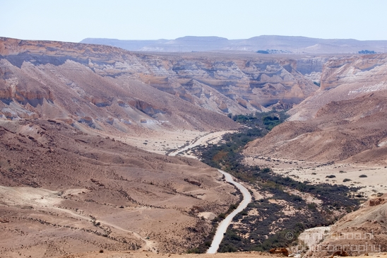 Landscape_Nature_Sde_Boker_desert_scenery_Negev_Israel_Photography_006_Canon_EOS_5D_Mark_IV.JPG