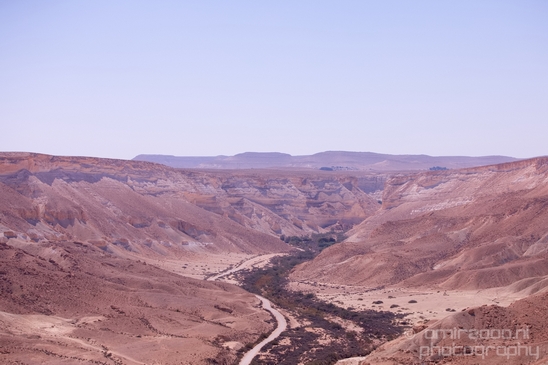 Landscape_Nature_Sde_Boker_desert_scenery_Negev_Israel_Photography_010_Canon_EOS_5D_Mark_IV.JPG