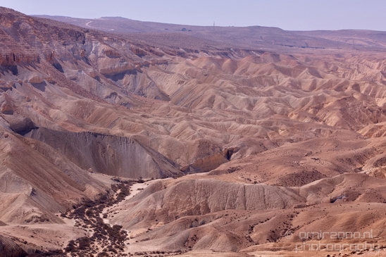 Landscape_Nature_Sde_Boker_desert_scenery_Negev_Israel_Photography_017_Canon_EOS_5D_Mark_IV.JPG