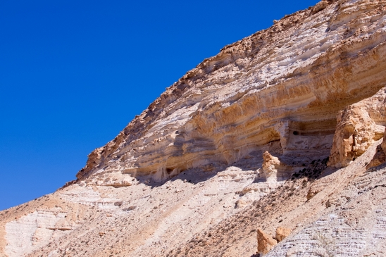 Landscape_Nature_Sde_Boker_desert_scenery_Negev_Israel_Photography_022_Canon_EOS_5D_Mark_IV.JPG