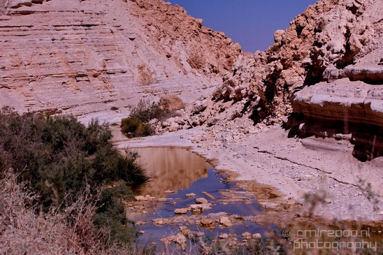 Landscape_Nature_Sde_Boker_desert_scenery_Negev_Israel_Photography_031_Canon_EOS_5D_Mark_IV.JPG