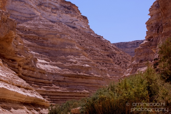 Landscape_Nature_Sde_Boker_desert_scenery_Negev_Israel_Photography_039_Canon_EOS_5D_Mark_IV.JPG