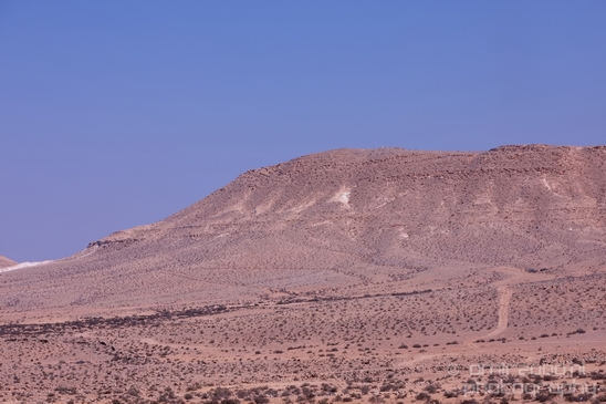 Landscape_Nature_Sde_Boker_desert_scenery_Negev_Israel_Photography_052_Canon_EOS_5D_Mark_IV.JPG