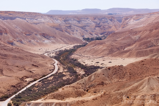 Landscape_Nature_Sde_Boker_desert_scenery_Negev_Israel_Photography_055_Canon_EOS_5D_Mark_IV.JPG