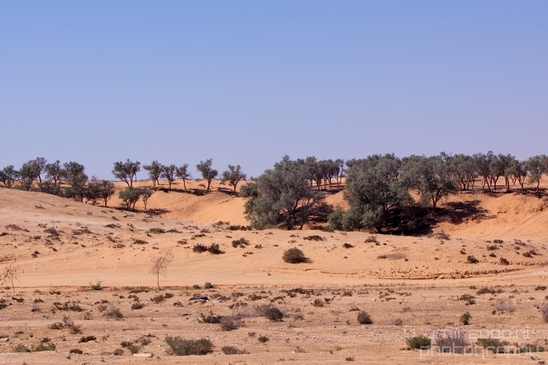 Landscape_Nature_desert_scenery_Negev_Israel_Photography_008_Canon_EOS_5D_Mark_IV.JPG