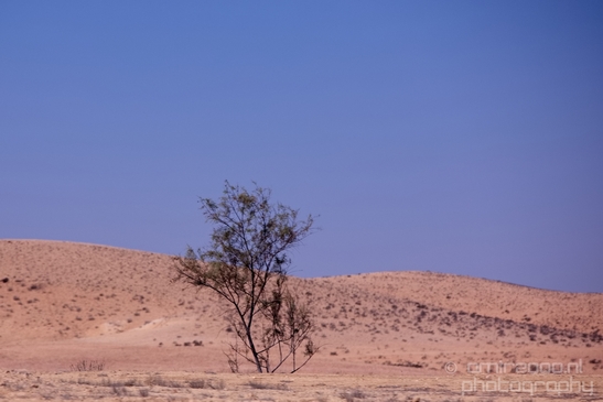 Landscape_Nature_desert_scenery_Negev_Israel_Photography_009_Canon_EOS_5D_Mark_IV.JPG