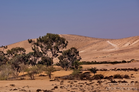 Landscape_Nature_desert_scenery_Negev_Israel_Photography_010_Canon_EOS_5D_Mark_IV.JPG
