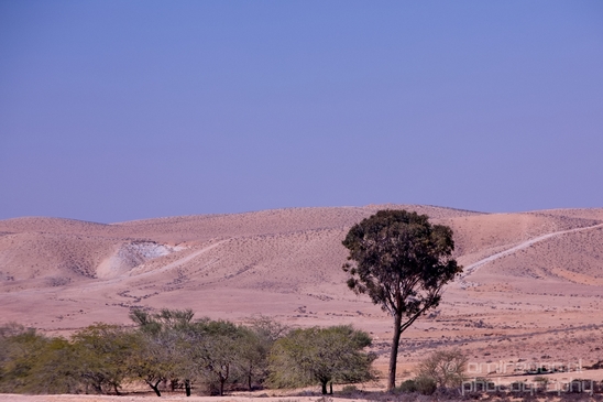 Landscape_Nature_desert_scenery_Negev_Israel_Photography_014_Canon_EOS_5D_Mark_IV.JPG