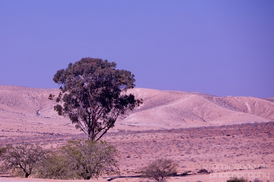 Landscape_Nature_desert_scenery_Negev_Israel_Photography_015_Canon_EOS_5D_Mark_IV.JPG