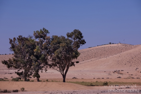 Landscape_Nature_desert_scenery_Negev_Israel_Photography_018_Canon_EOS_5D_Mark_IV.JPG