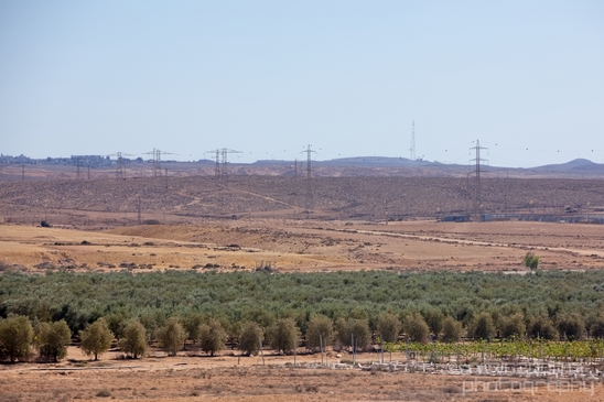 Landscape_Nature_desert_scenery_Negev_Israel_Photography_033_Canon_EOS_5D_Mark_IV.JPG