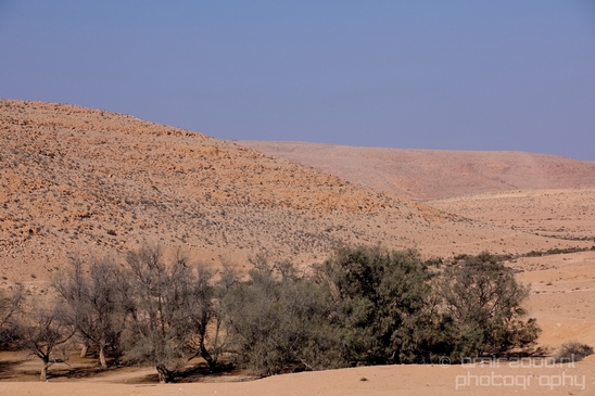 Landscape_Nature_desert_scenery_Negev_Israel_Photography_042_Canon_EOS_5D_Mark_IV.JPG