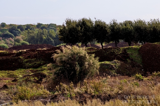 Landscape_Nature_in_the_Park_Israel_Photography_003_Canon_EOS_5D_Mark_IV.JPG