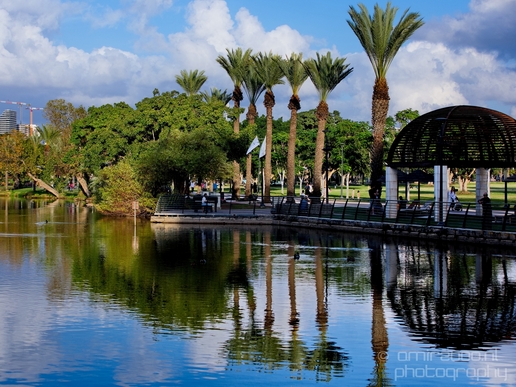 Landscape_Nature_in_the_Park_Israel_Photography_006_Canon_EOS_5D_Mark_IV.JPG