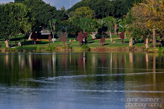 Landscape_Nature_in_the_Park_Israel_Photography_007_Canon_EOS_5D_Mark_IV.JPG