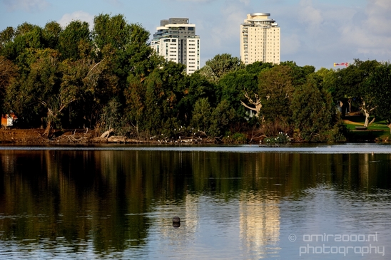 Landscape_Nature_in_the_Park_Israel_Photography_008_Canon_EOS_5D_Mark_IV.JPG
