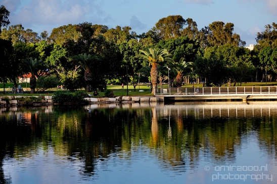 Landscape_Nature_in_the_Park_Israel_Photography_009_Canon_EOS_5D_Mark_IV.JPG