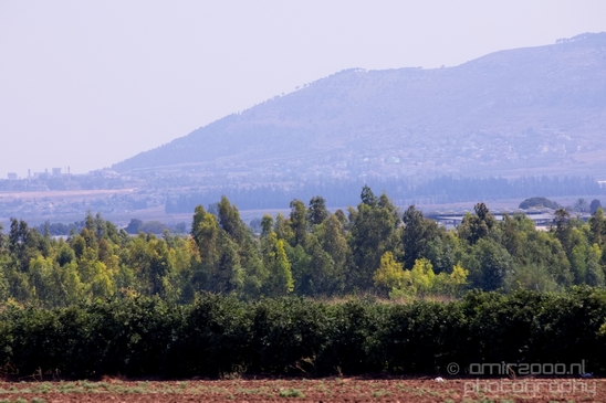 Landscape_Nature_north_of_Israel_Photography_017_Canon_EOS_5D_Mark_IV.JPG