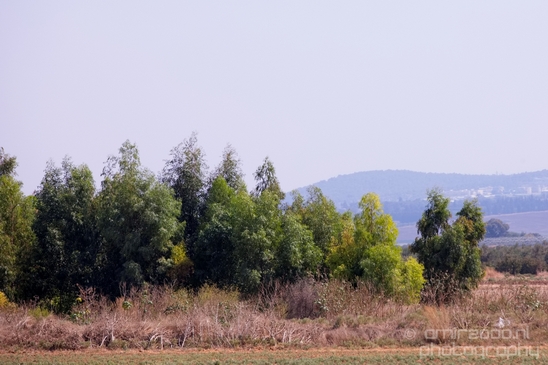 Landscape_Nature_north_of_Israel_Photography_018_Canon_EOS_5D_Mark_IV.JPG
