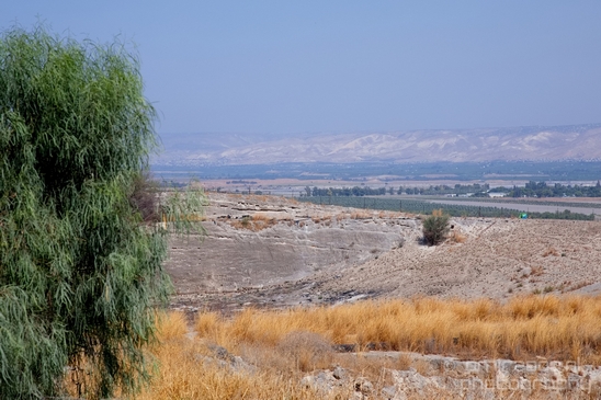 Landscape_Nature_north_of_Israel_Photography_021_Canon_EOS_5D_Mark_IV.JPG