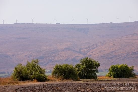 Landscape_Nature_north_of_Israel_Photography_030_Canon_EOS_5D_Mark_IV.JPG